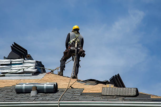 Professional Roof Replacement technician working in Maple Mount, KY